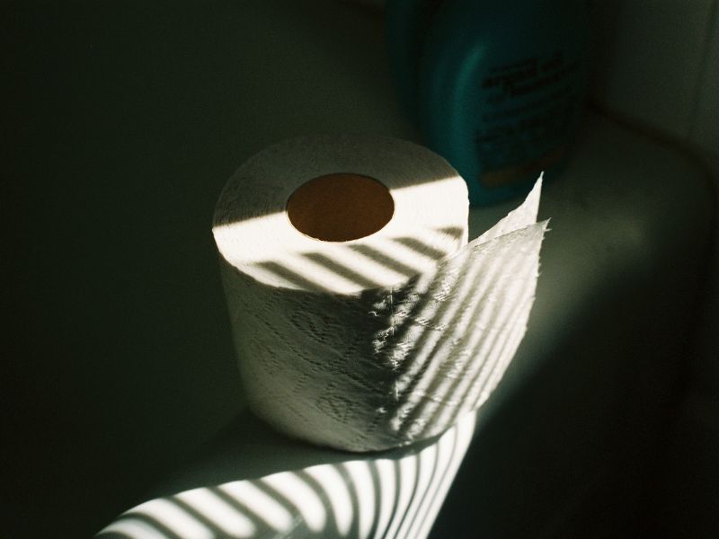 toilet paper in bathroom with sunlight on it